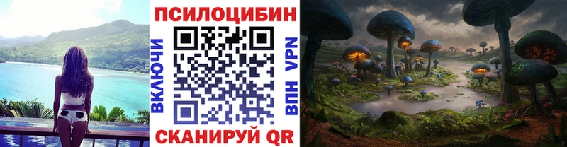 купить наркоту  Заполярный  Псилоцибиновые грибы Cubensis 